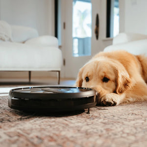 Saugroboter (125,- netto) – Leistungsstarker 2800 Pa Staubsauger Roboter mit App-Steuerung, HEPA-Filter & Automatischer Navigation für Tierhaare und Teppiche